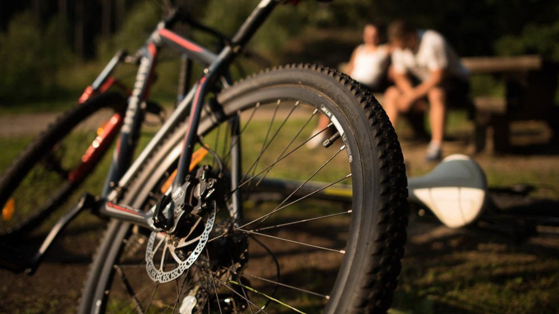 ACTIVITIES & PASIVITIES IN SVATÁ KATEŘINA